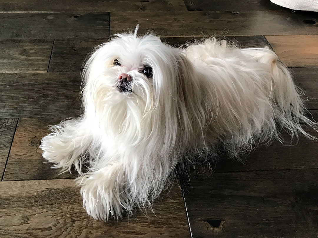 Bijoux