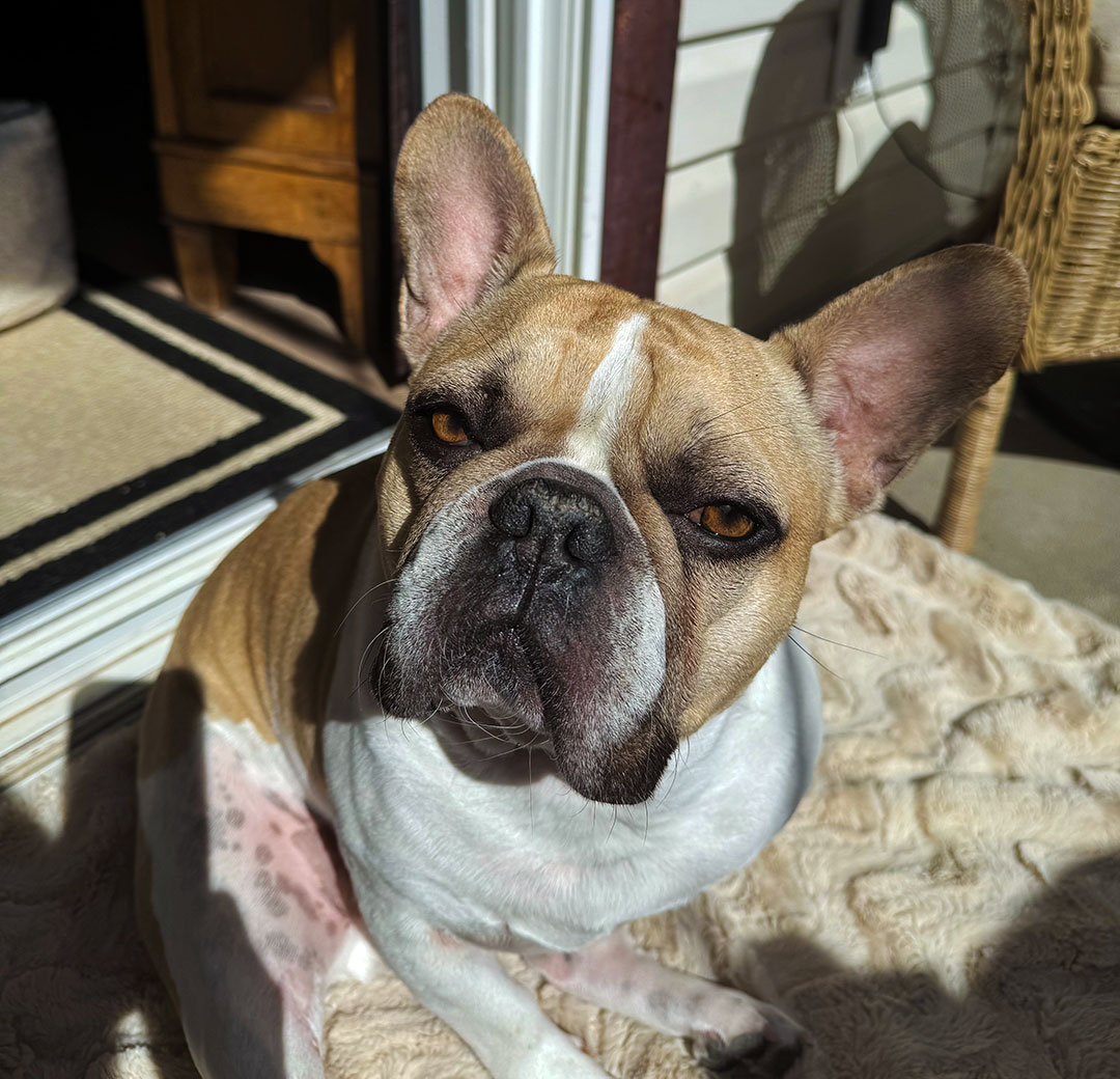 Boris