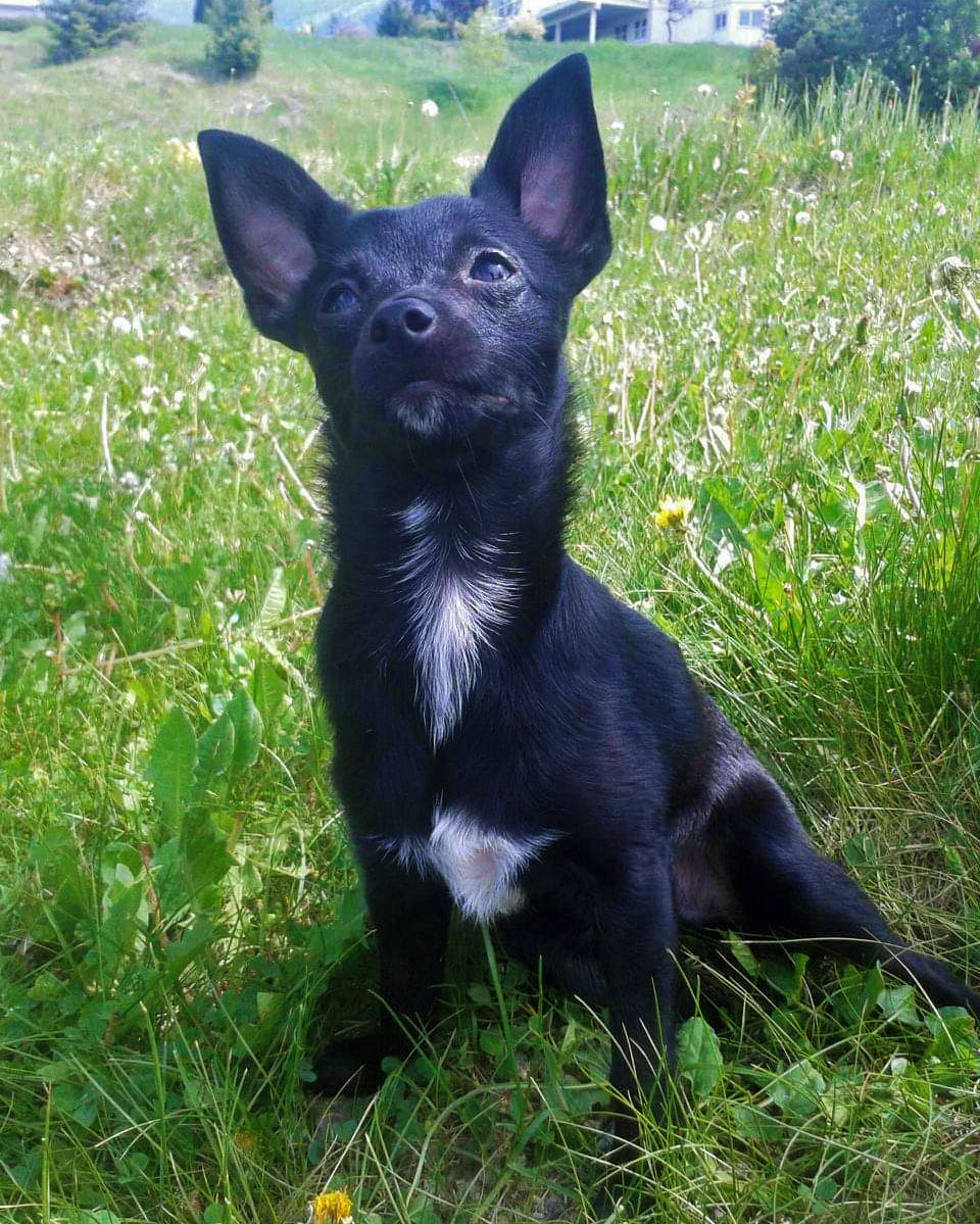 Charlie