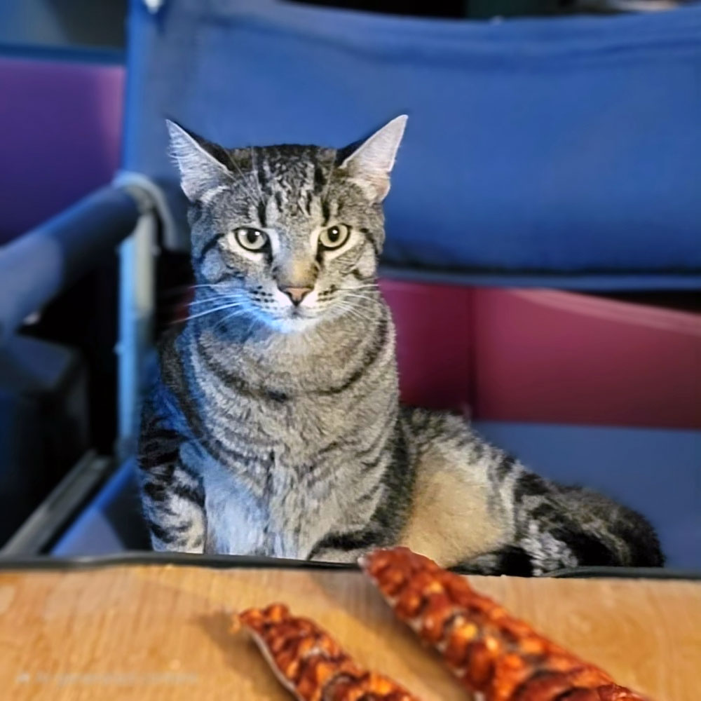 Meow Meow