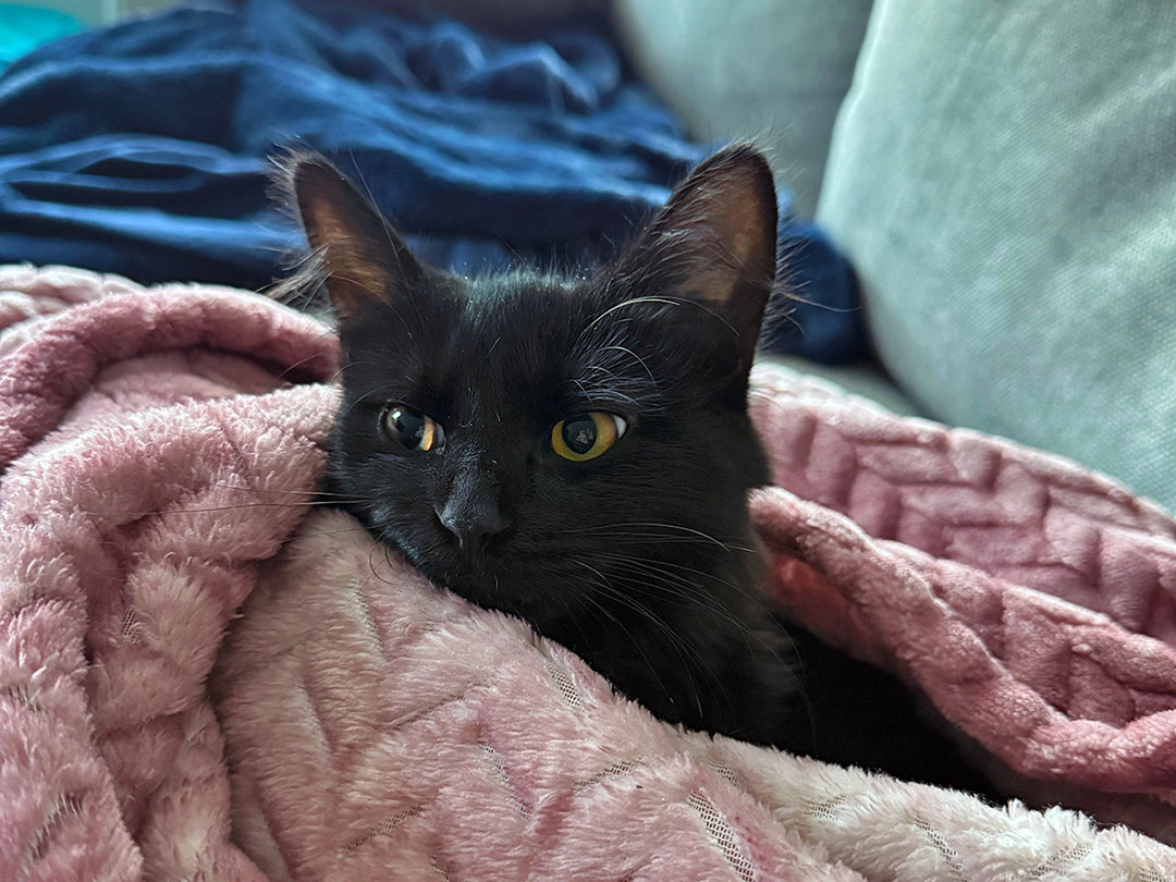 Nyx