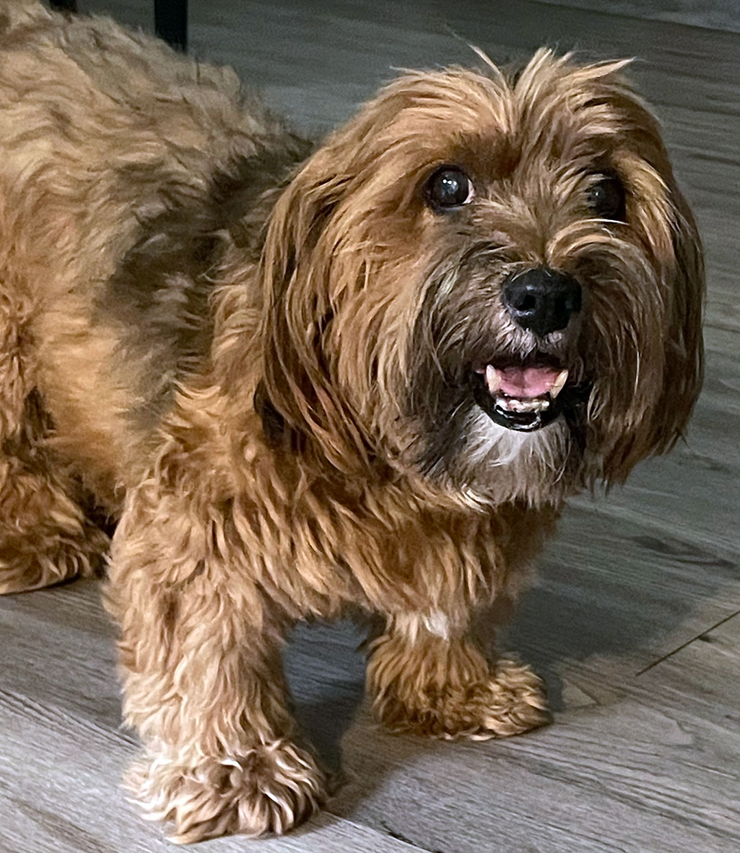 Oscar
