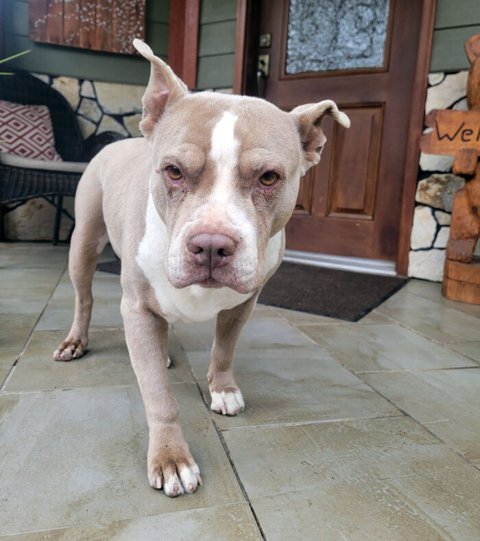 TIA