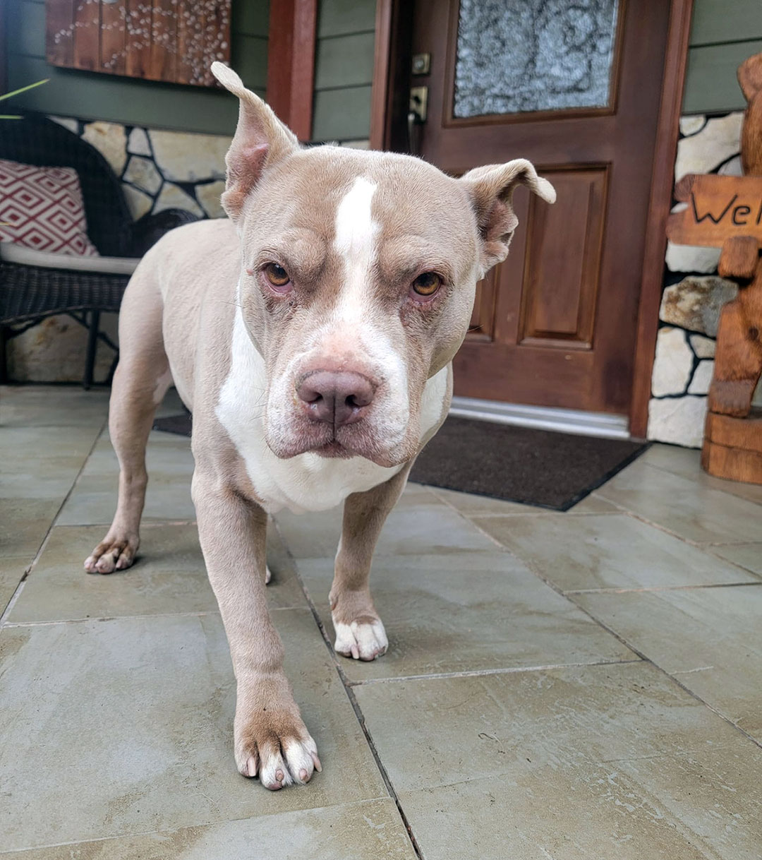 TIA