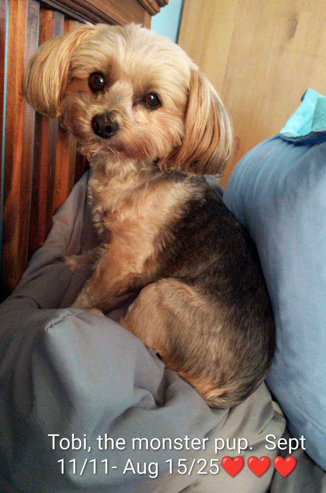 Tobi