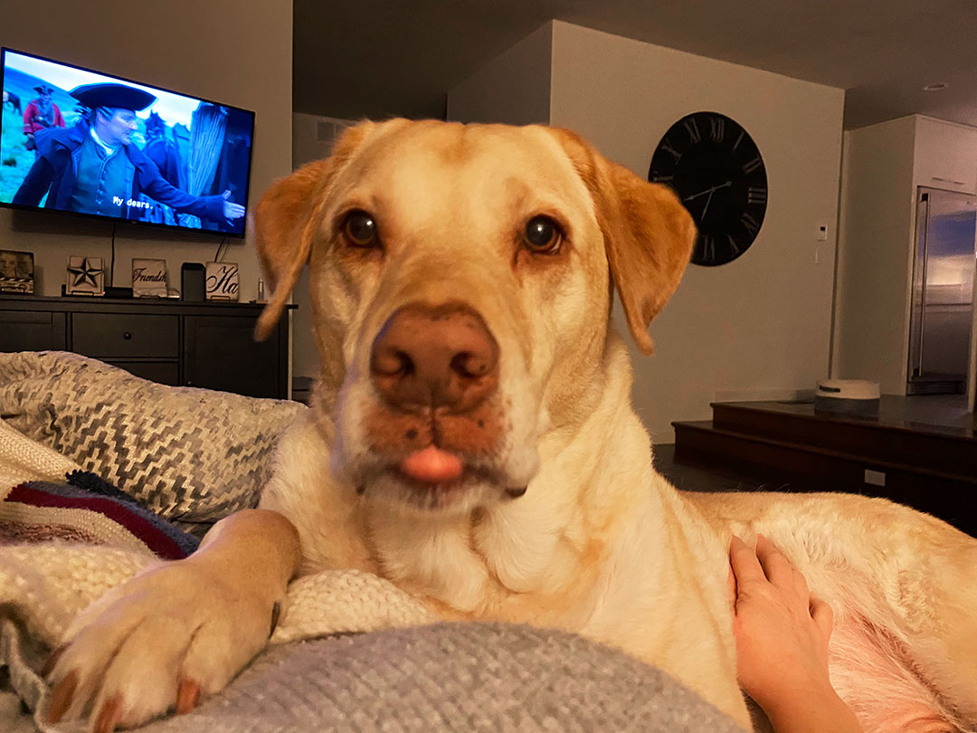 Toby